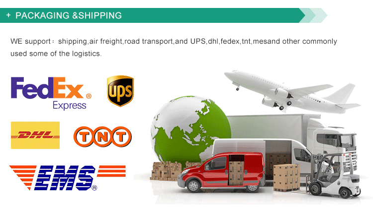 electric scooter 300w