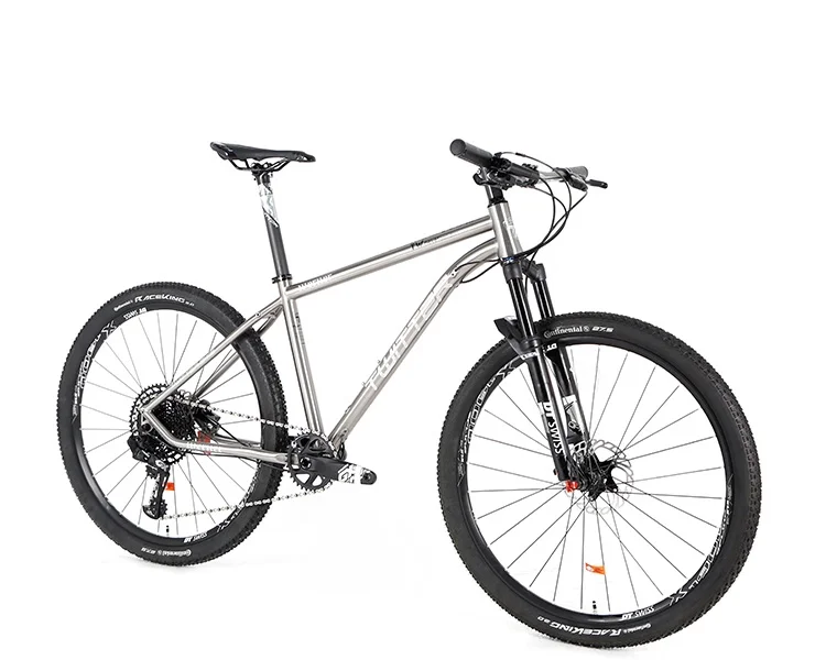 titanium mtb