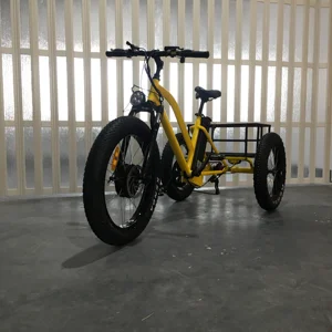 electric open 48v tricycles price