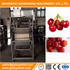 Automatic commercial cherry pitter machine auto electric cherries pitting equipment china supplier good price for sale
