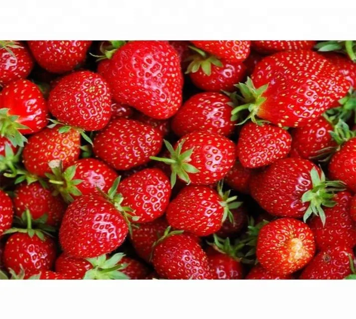 Fresh Strawberry_02
