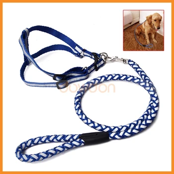 reflective dog harness and leash