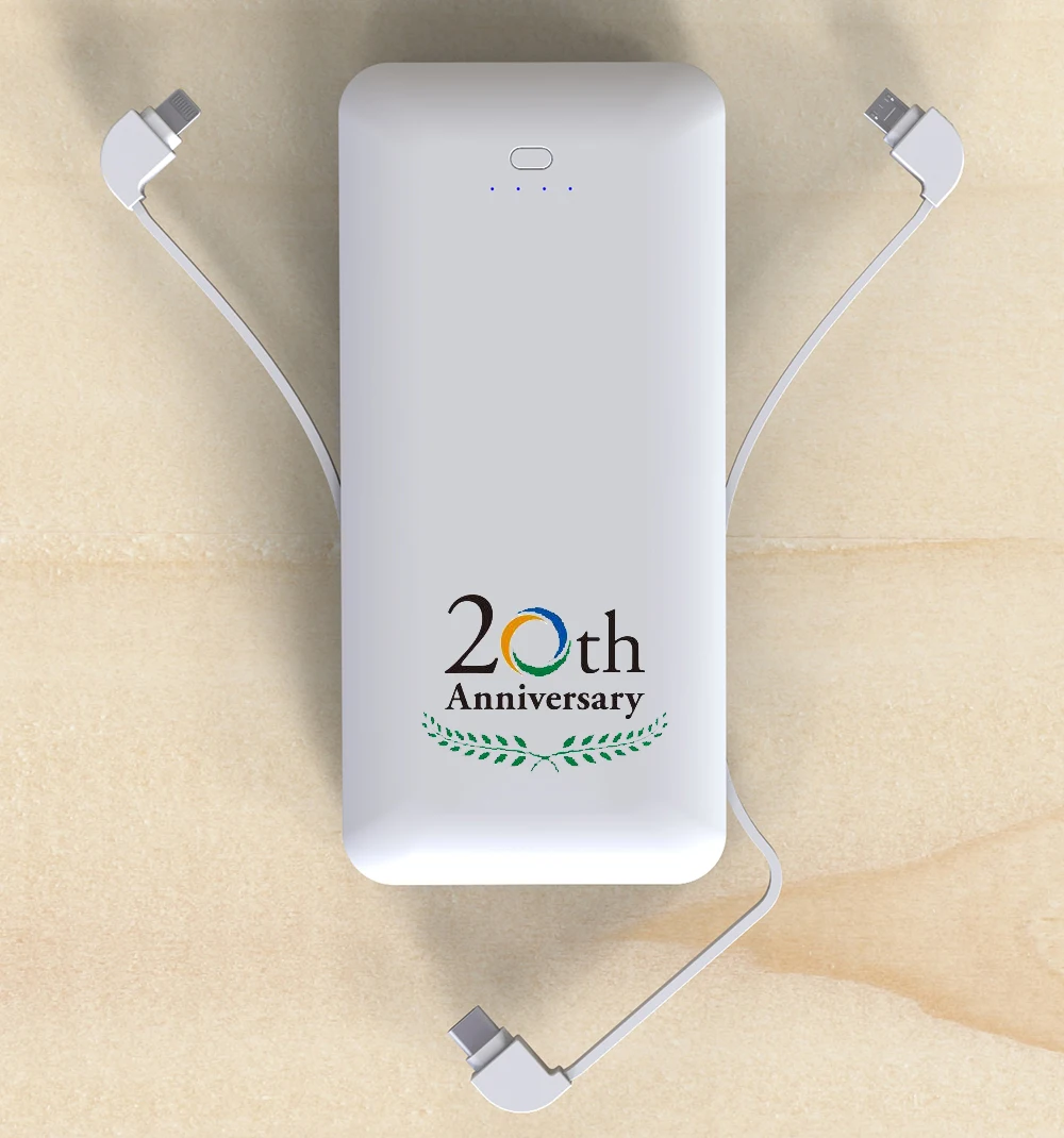 Battery Charger 10000mah Ac Power Banks Battery Powerbank Power Bank