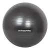 Black Exercise Ball for Fitness/Stability, Balance & Yoga - Workout Guide & Quick Pump Included