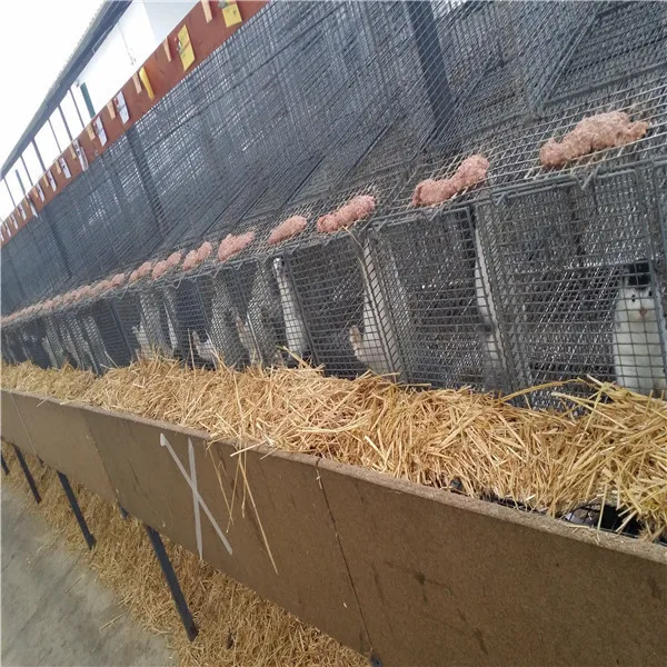 Hot Sale Standard Mink Cages/trap For The Humane Catching Of Mink Buy