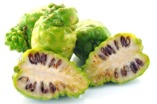 Hot sale factory supply 100% Pure Natural Noni Fruit Powder