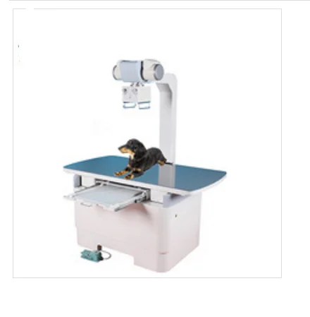 PET.png