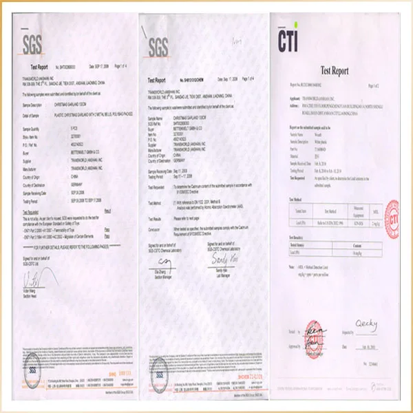Certificate.jpg