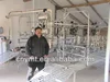 Abreast type goat milking parlor for sheep milking system