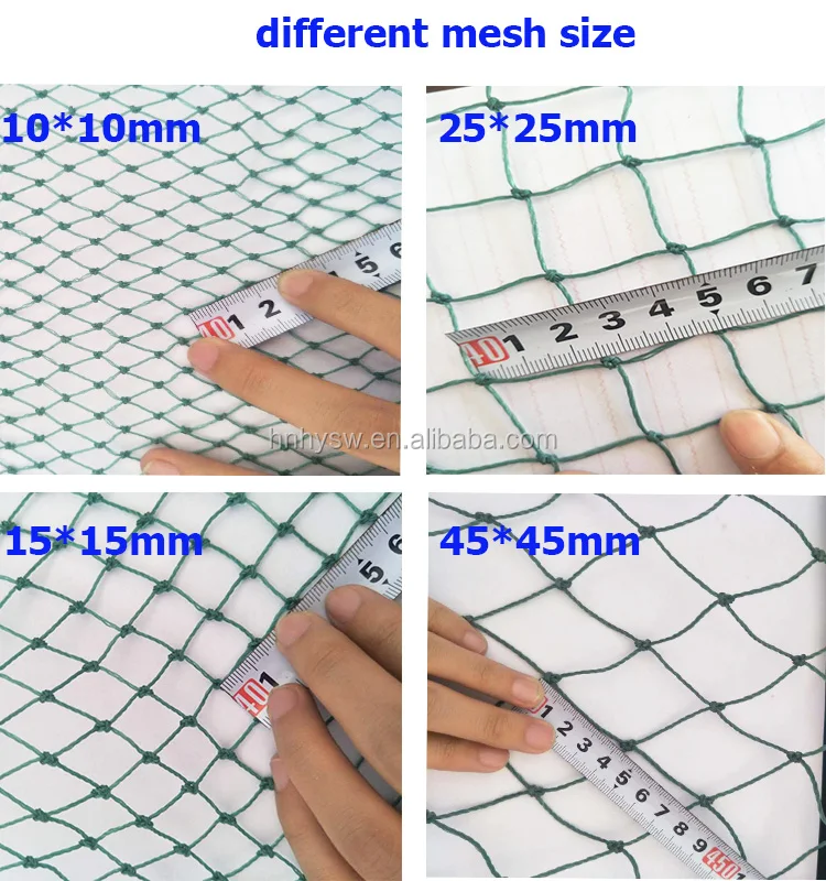 Net Sizes Hot Sex Picture