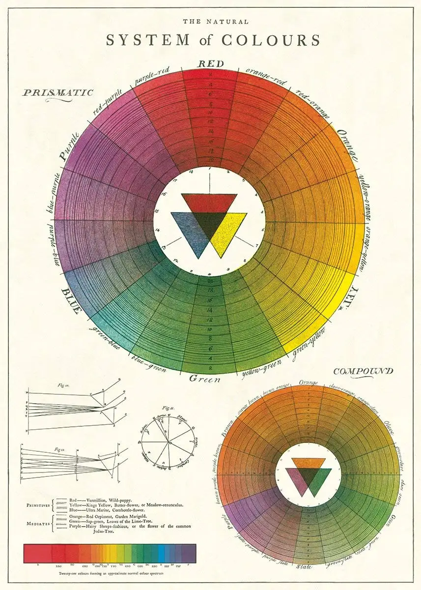 Colour Wheel Chart For Fashion