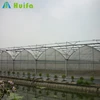 Agricultural Cheap Rain Shelter Multi Span Greenhouse with High Quality