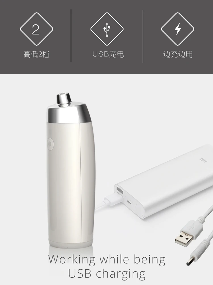 ribo-airbrush_z2