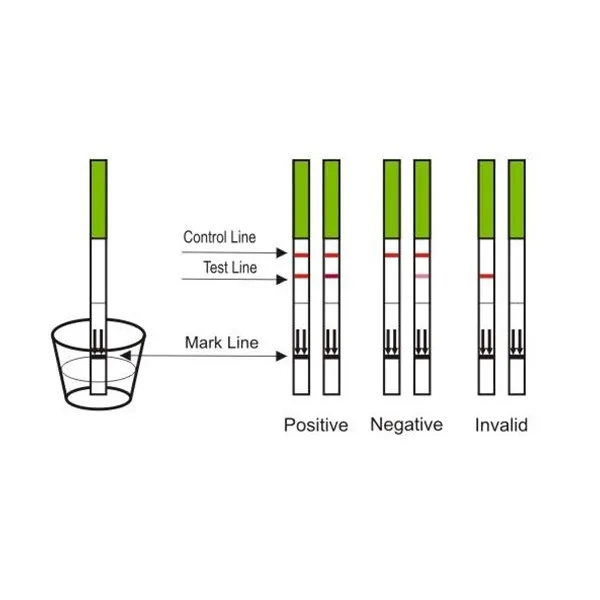 一步妊娠试验试剂盒
