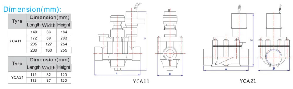 YCA11-2.jpg