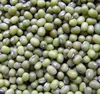 Sell Green Mung bean / Moong Dal/ Green Gram Split and Whole Beans
