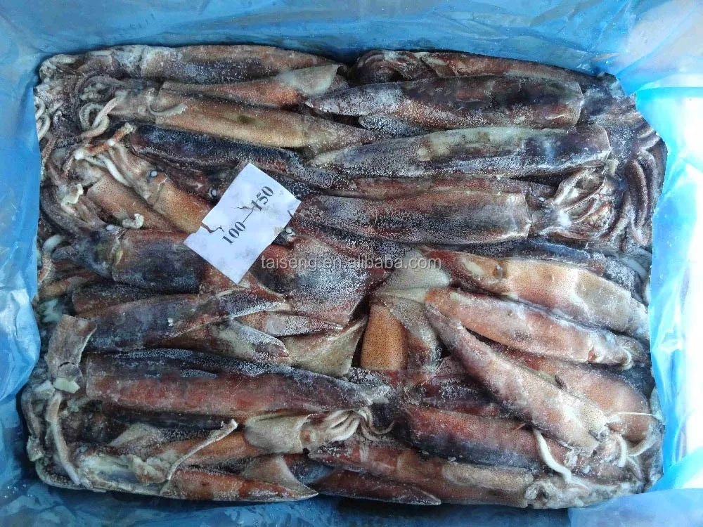 Frozen-W-R-Illex-Argentinus-Squid-Jigger (1).jpg