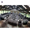Modern farm building cow house construction