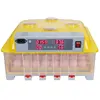 56 egg capacity mini incubator for eggs in Kerola WQ-56