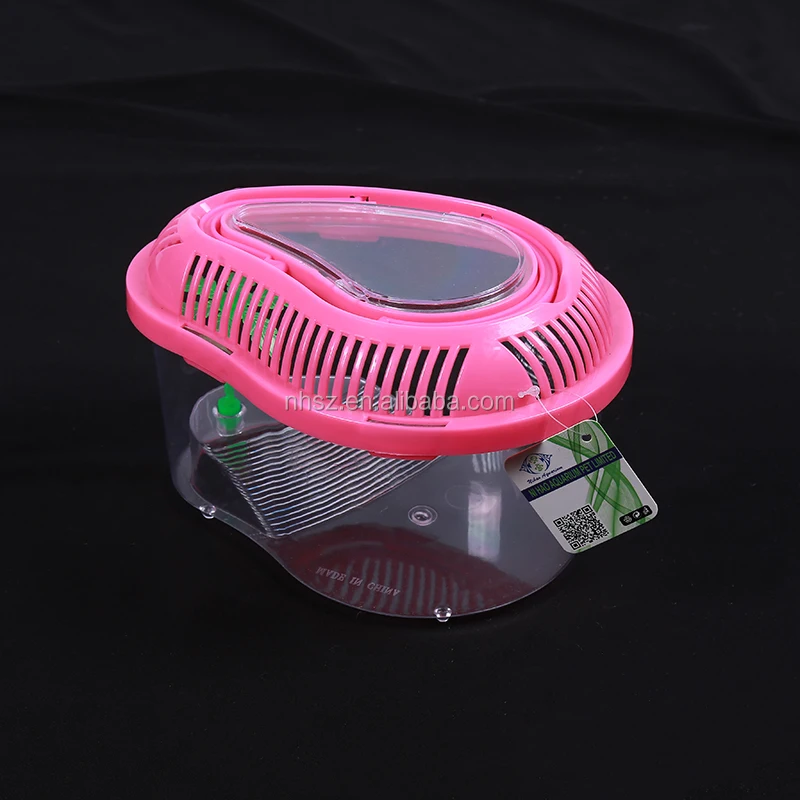 betta fish with turtle