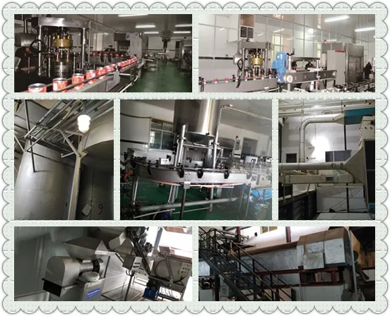 manufacturing line.jpg