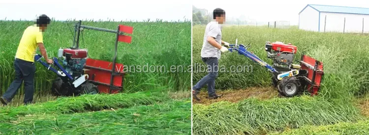 rice-reaper-11.jpg