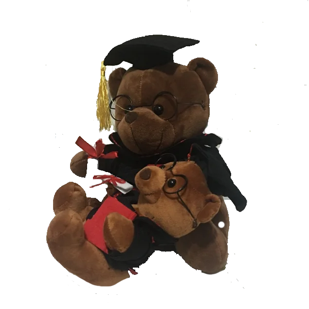 ty graduation bear