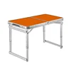 Tuoye Hot Sale Outdoor Popular Hdpe Plastic Folding Picnic Dining Table