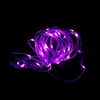 2W 3W multi-color LED copper wire lamp 5m 100 LEDs strings 12V network tube lamp for decoration