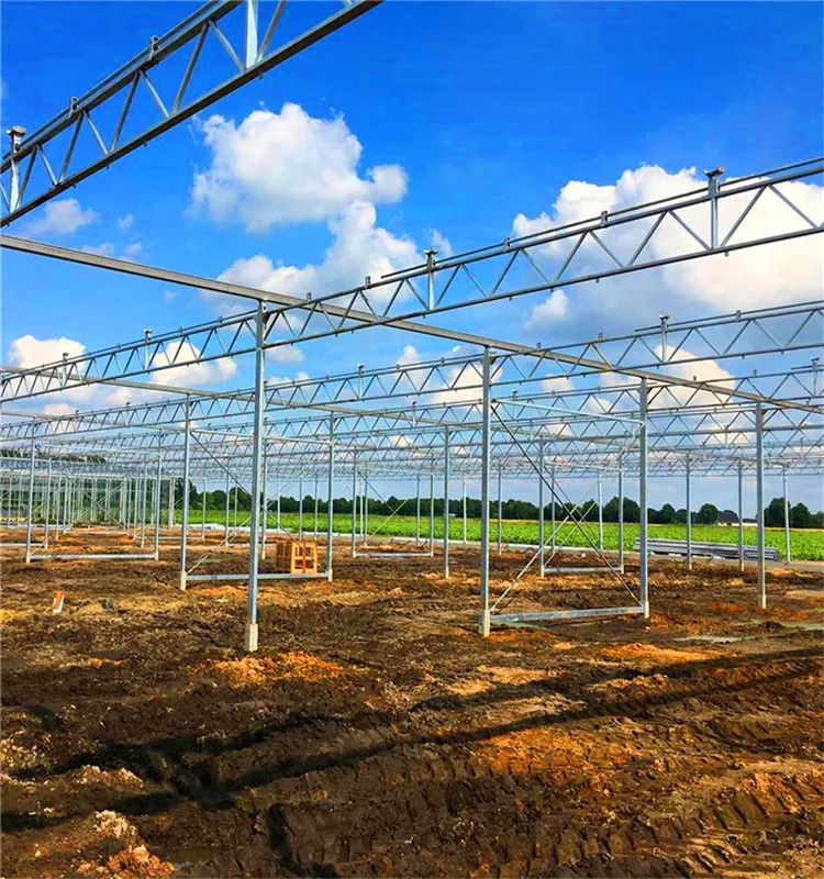 Vanilla Grow Greenhouse