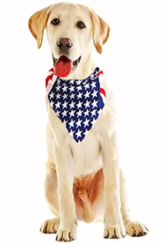 american dog bandana