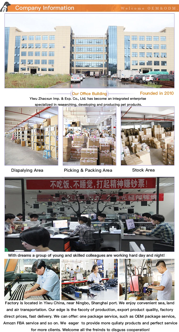 Company Information.jpg