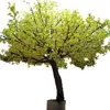 Hot Sale Artificial Tree Leave Ficus Decorative Peach Blossom Tree