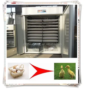 2816 Egg Incubator For Sale In Chennai Quail Incubator View Egg Incubator For Sale In Chennai Zhenghang Product Details From Dezhou Zhenghang Import Export Co Ltd On Alibaba Com