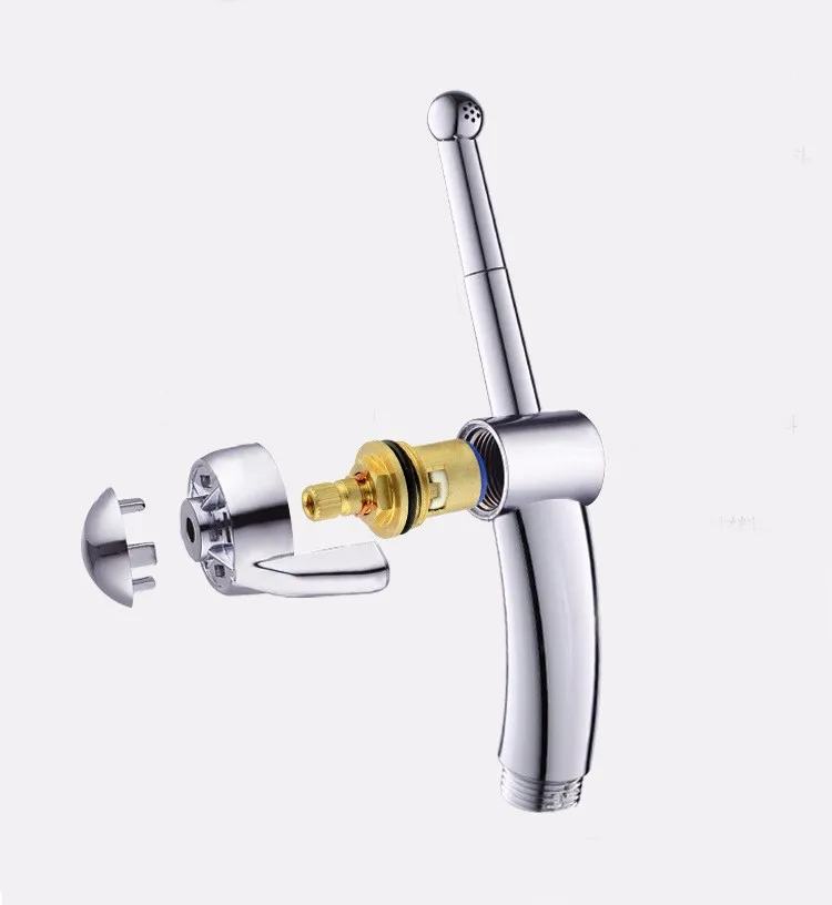 Abs Shiny Bidet Water Heater Spray With Shower Hose Buy Bidet,Bidet Spray,Bidet Water Heater