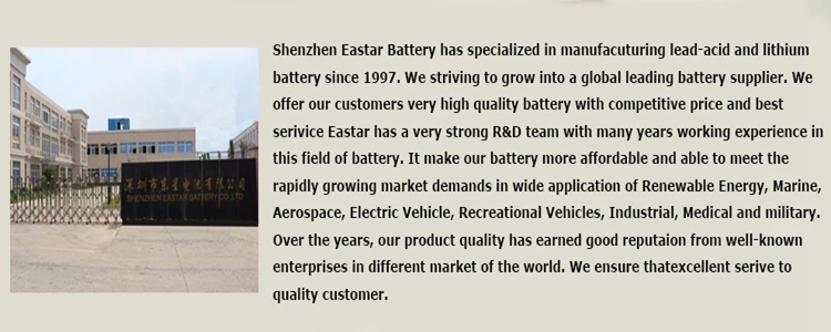 2000 cycle times prismatic 3.2v 100ah lifepo4 battery