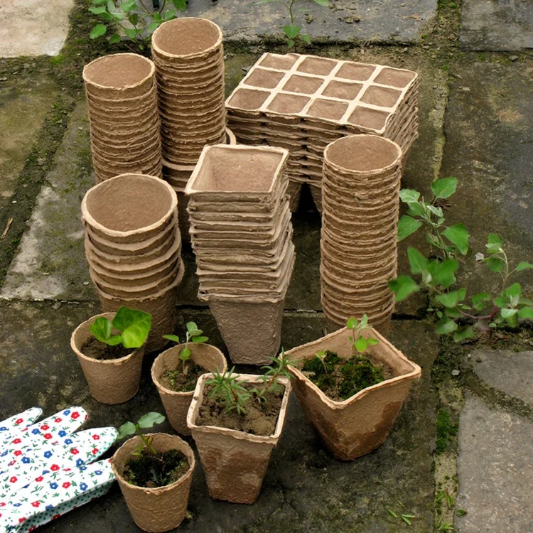 Nursery Paper Pots Dia 8cmx24pc Plant Garden Pot Buy Nursery Paper