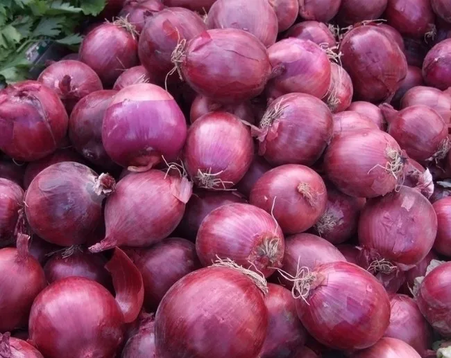 Online Onion Market