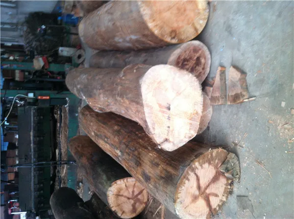 chinese low price natural gurjan veneer ,PLB veneer, for india market