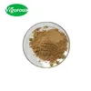 30%-60% Sarsaponin yucca schidigera extract/Yucca Extract powder/Yucca extract