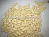 white peanuts and blanched peanut kernels