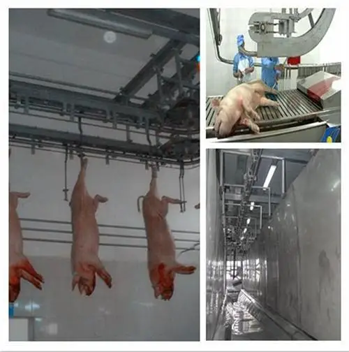 Pig slaughtering equipment sow slaughtering machine seeding slaughterhouse