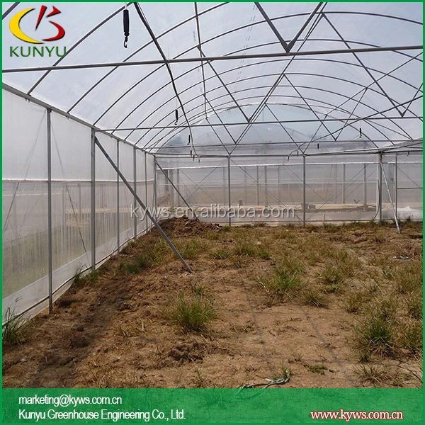 Arch Roof Type Cheap Greenhouse Orchid Greenhouse Pvc Pipe Greenhouse Buy Orchid Greenhouse