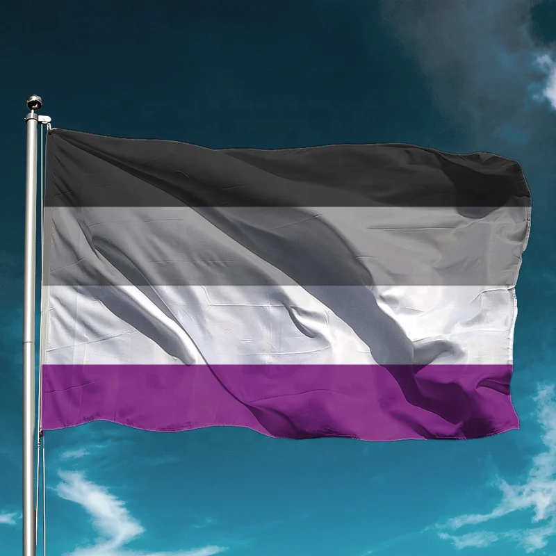Черно серый фиолетовый флаг. Асексуал флаг. Грей-асексуал флаг. Асексуалы флаг ориентация. Фиолетовый флаг.