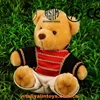 Wholesale plush little teddy bear toy soft stuffed bear with cloth