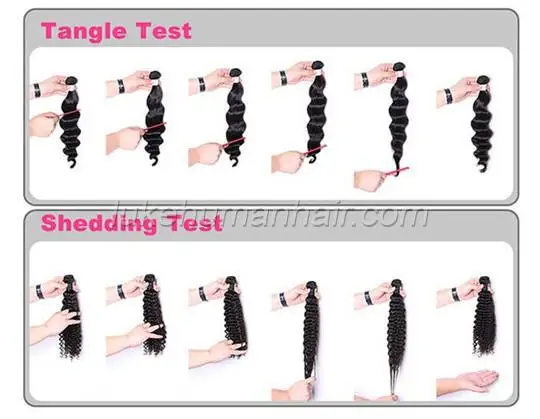 HTB1GgCHFVXXXXbdXVXXq6xXFXXXL