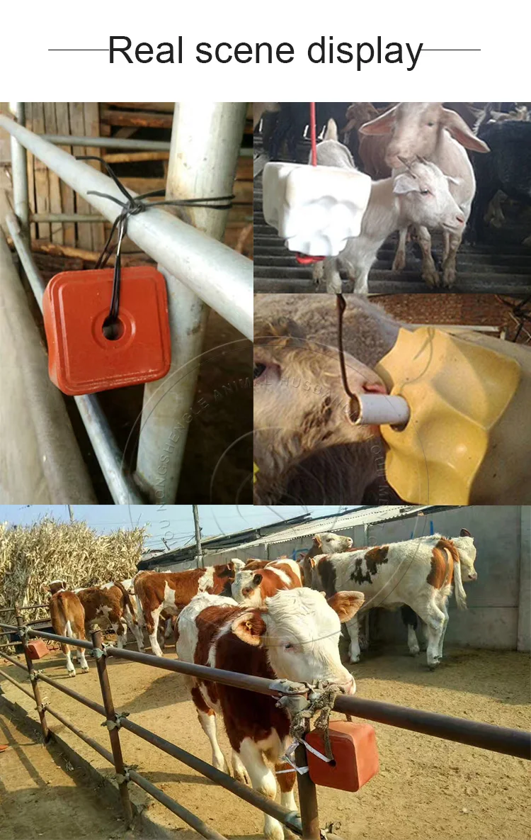 Improves Animal Immunity Mineral Salt Block High Density Lick Brick For