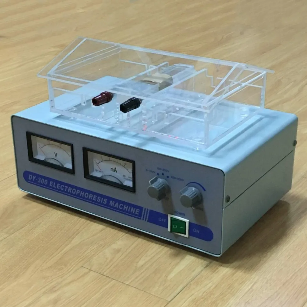Medical Electrophoresis With Cell,Analysis Instrument Dy300 For Sample