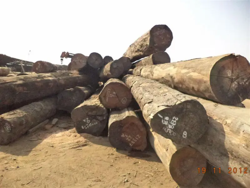 Niove African Hardwood Logs Buy Hardwood Timber Logs,African Log Wood