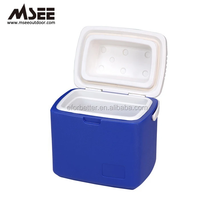 mini hard cooler